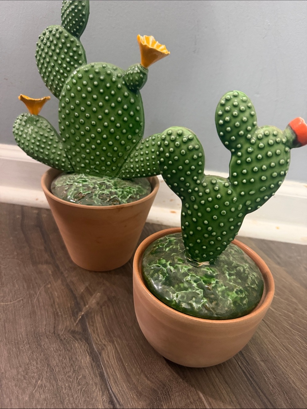 Benston West Ceramic Cactus Jars/ Canisters